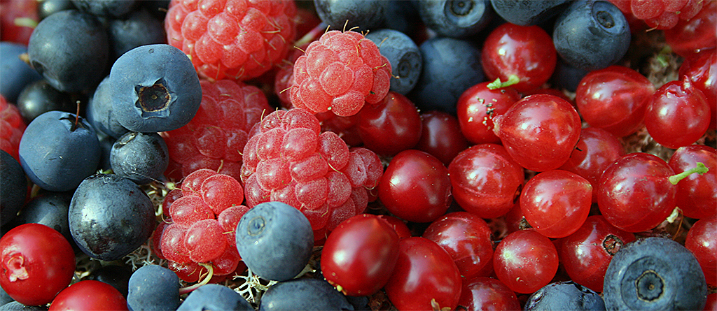 Beeren-Antioxidantien